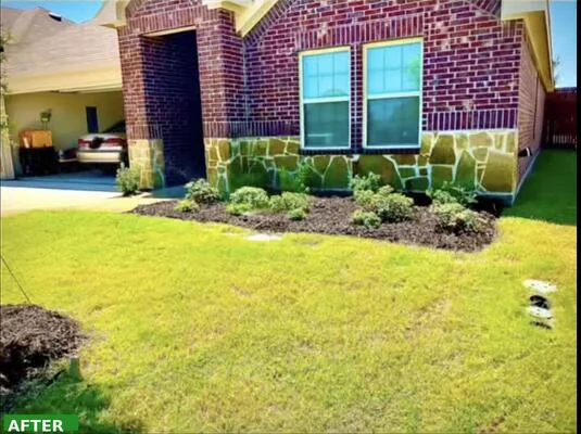 Freshly landscaped foundation bed with new mulch, shrubs, and a clean lawn edge