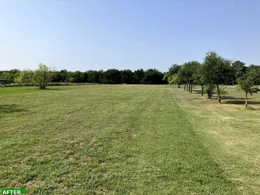 A wide open lawn after a fresh mow