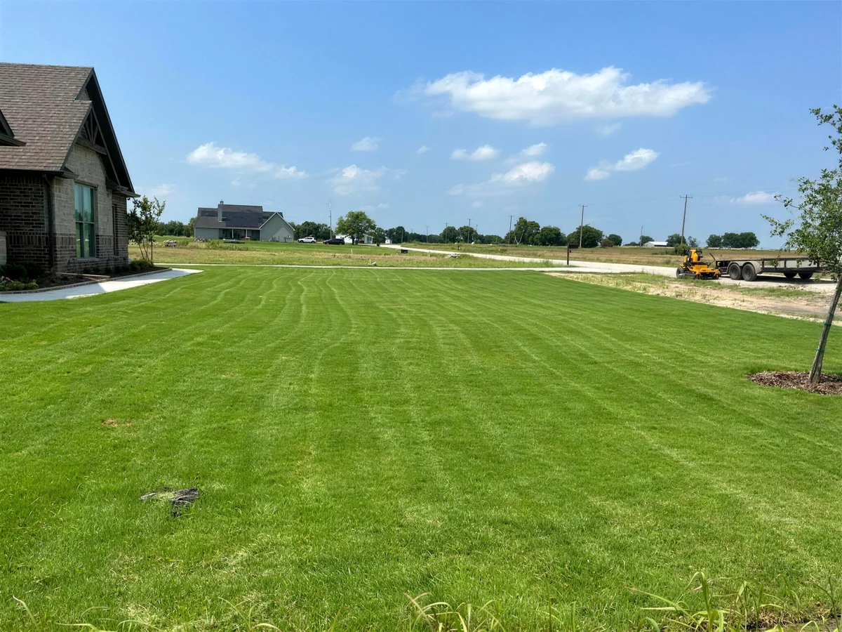 Thick striped green lawn