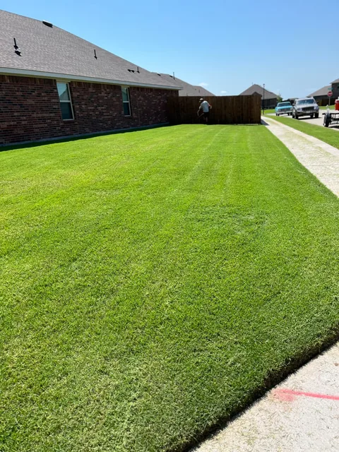 Wide ground-level shot of a thick, freshly mowed backyard lawn along a fence line