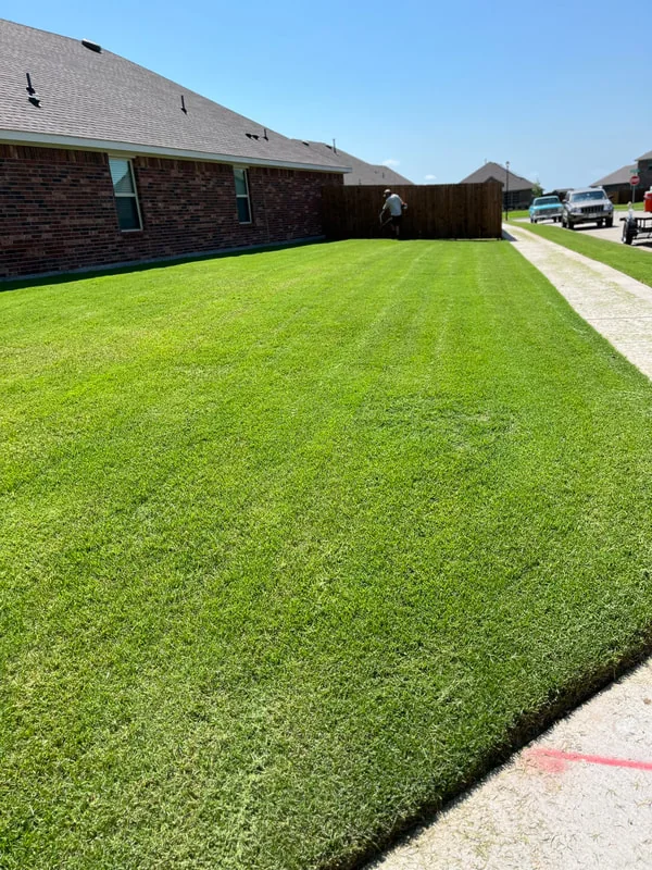 A thick, freshly mowed lawn along a Fate fence line.