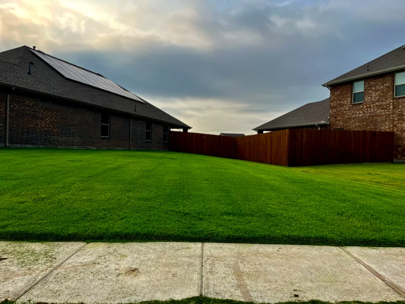 Lush, deep-green front lawn after a Mahalic and Sons service visit in Caddo Mills, TX