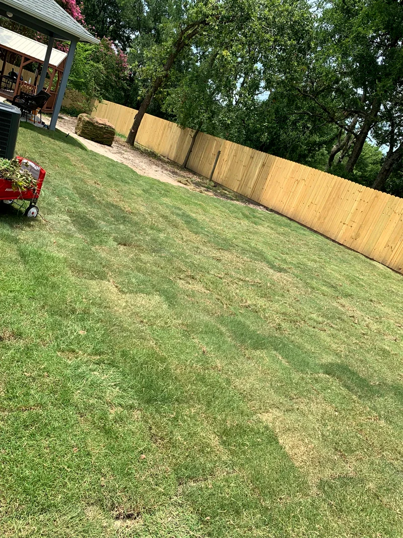 Freshly mowed lawn with crisp stripes