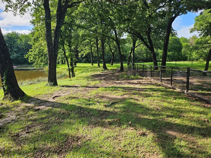 A freshly mowed lawn on a wooded lot, trimmed clean under the tree line