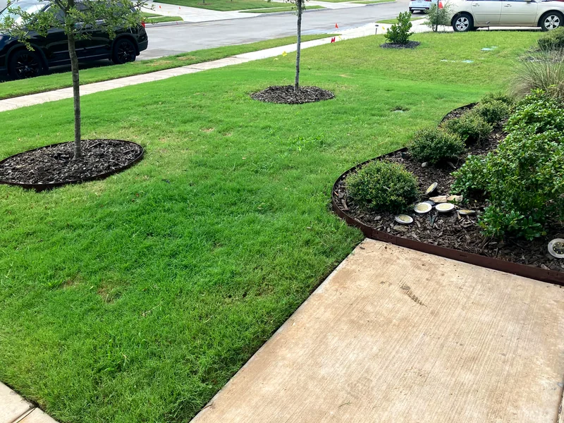 Completed landscaped pathway with lighting and planting beds