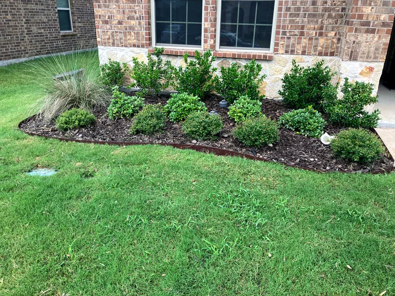 Fresh mulch bed with curved stone pathway