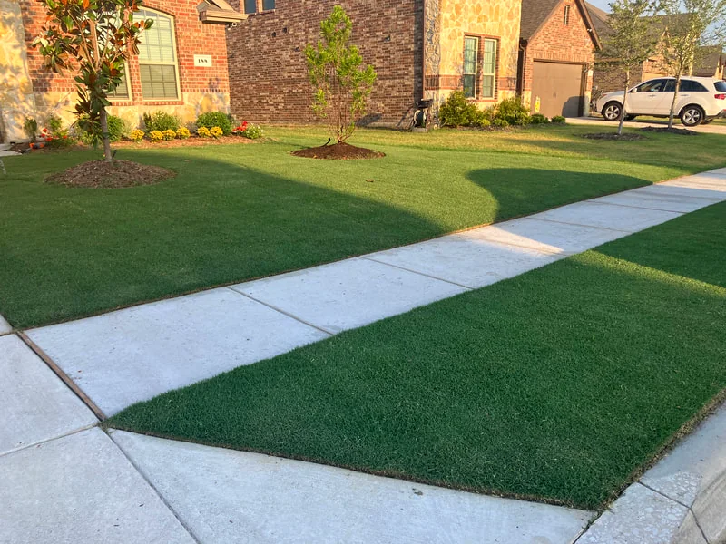 Freshly mowed lawn with a crisp edge