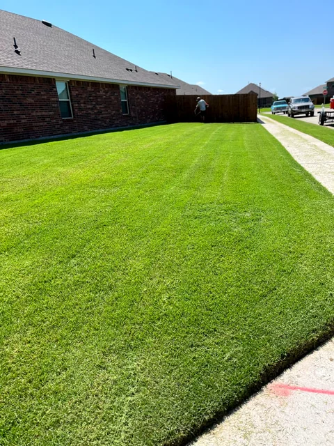 Open green field of warm-season turf grass