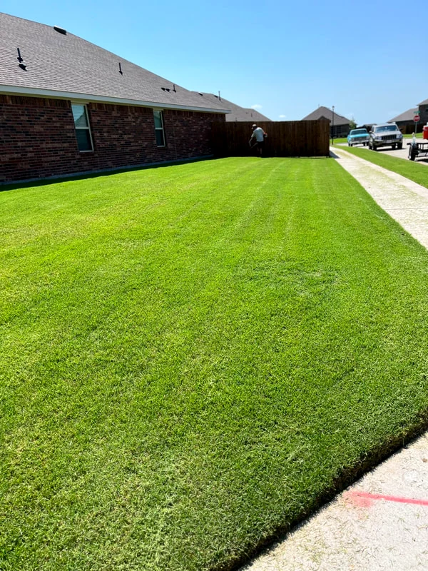 Open green field of warm-season turf grass