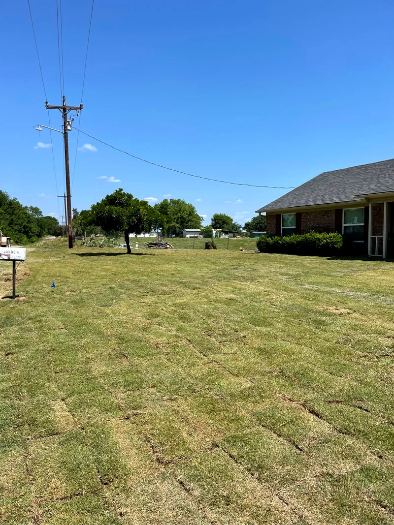 Wide healthy lawn along a North Texas residential street