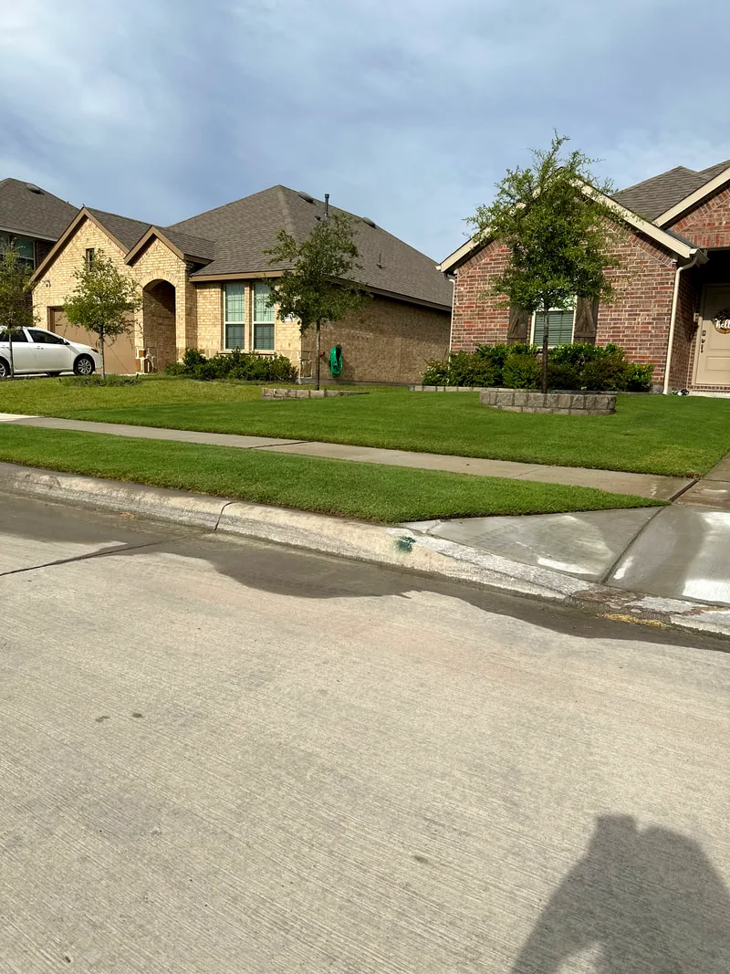 Row of well-maintained lawns along a North Texas street